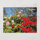 Carte Postale État de l'Oregon (Devant)