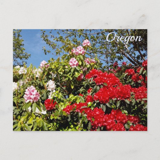 Carte Postale État de l'Oregon (Devant)