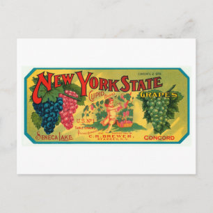Carte Postale État de New York Seneca Lake Grapes Vintage Crate 