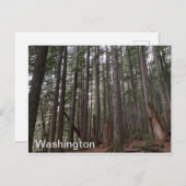 Carte Postale État de Washington (Devant / Derrière)