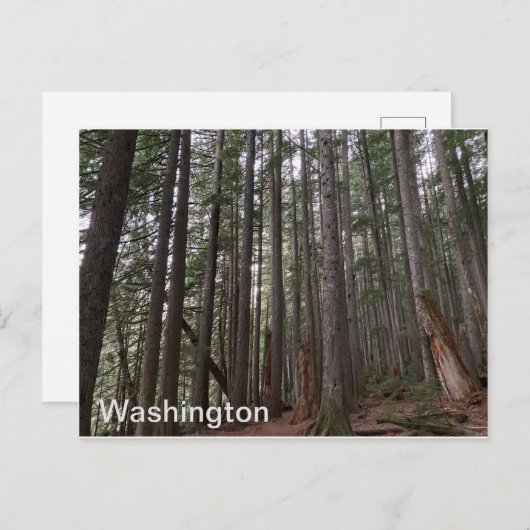 Carte Postale État de Washington (Devant / Derrière)