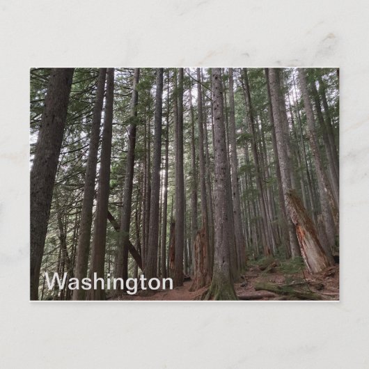 Carte Postale État de Washington (Devant)