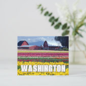 Carte Postale État de Washington | Champ de tulipes (Debout devant)