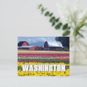 Carte Postale État de Washington | Champ de tulipes | Merci (Debout devant)