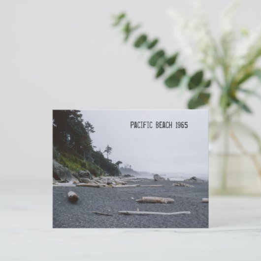 Carte Postale État de Washington Pacific Beach (Debout devant)