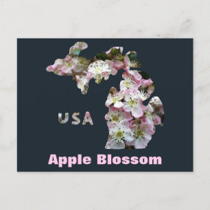 Carte Postale État du Michigan et fleurs d'Apple