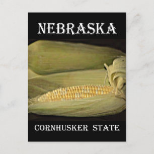 Carte Postale État du Nebraska Cornhusker