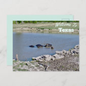 Carte Postale État du Texas (Devant / Derrière)