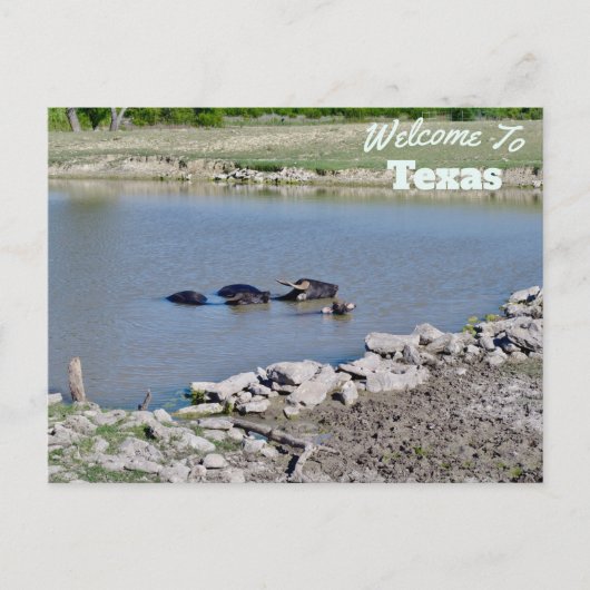 Carte Postale État du Texas (Devant)
