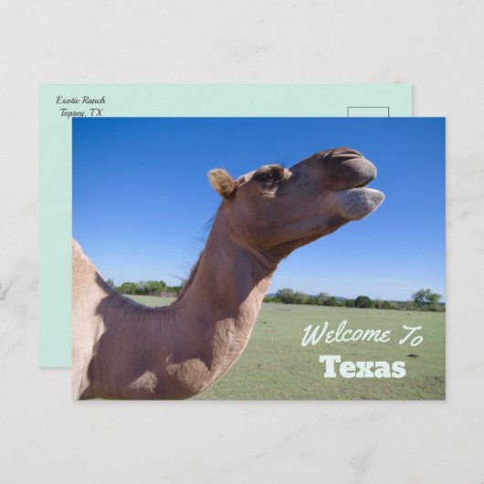 Carte Postale État du Texas (Devant / Derrière)