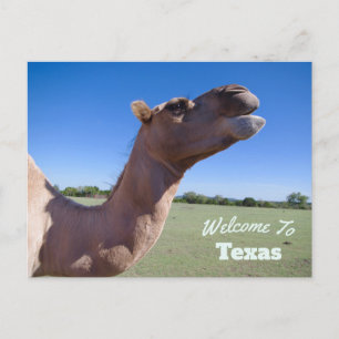Carte Postale État du Texas