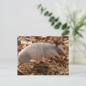 Carte Postale État du Texas (Debout devant)