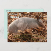 Carte Postale État du Texas (Devant / Derrière)