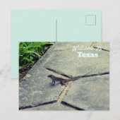 Carte Postale État du Texas (Devant / Derrière)