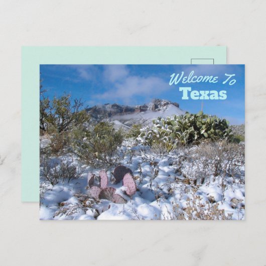 Carte Postale État du Texas (Devant / Derrière)