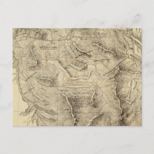 Carte Postale États-Unis 39 (Devant)