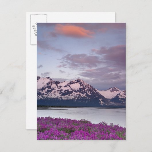 Carte Postale États-Unis, Alaska, Alsek River Valley. Vue d'Alse (Devant / Derrière)