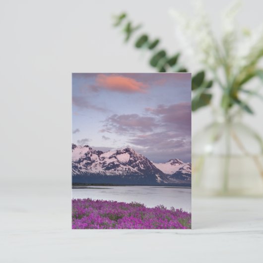 Carte Postale États-Unis, Alaska, Alsek River Valley. Vue d'Alse (Debout devant)