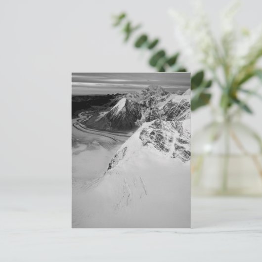 Carte Postale États-Unis, Alaska, Denali National Park, Vue aéri (Debout devant)