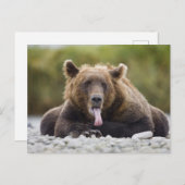 Carte Postale États-Unis, Alaska, Parc national de Katmai, baie  (Devant / Derrière)