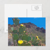 Carte Postale États-Unis, Arizona. Cactus dans les collines (Devant / Derrière)
