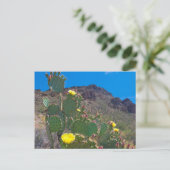 Carte Postale États-Unis, Arizona. Cactus dans les collines (Debout devant)