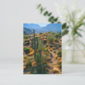 Carte Postale États-Unis, Arizona. Desert View (Debout devant)