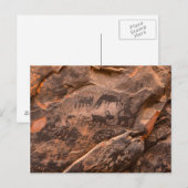 Carte Postale États-Unis, Arizona, Forêt nationale de Coconino,  (Devant / Derrière)