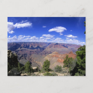 Carte Postale États-Unis, Arizona, Parc national du Grand Canyon