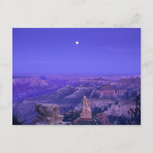 Carte Postale États-Unis, Arizona, Parc national du Grand Canyon