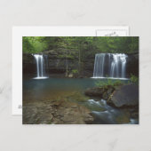 Carte Postale États-Unis, Arkansas, Ozark- St Francis National (Devant / Derrière)