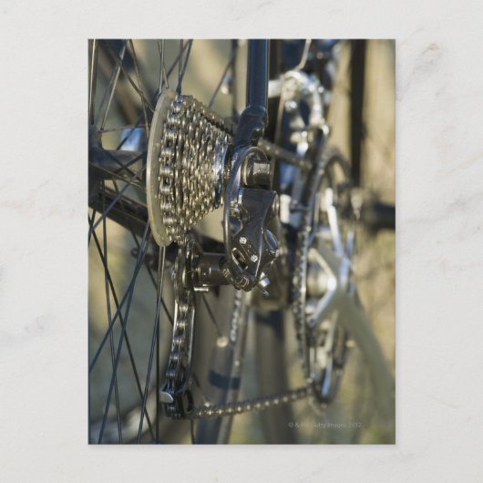 Carte Postale États-Unis, AZ, Phoenix (Devant)