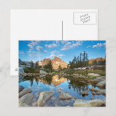 Carte Postale États-Unis, Californie, Forêt nationale d'Inyo. 2 (Devant / Derrière)