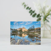 Carte Postale États-Unis, Californie, Forêt nationale d'Inyo. 2 (Debout devant)