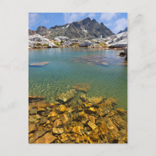 Carte Postale États-Unis, Californie, Forêt nationale d'Inyo 8
