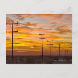 Carte Postale États-Unis, Californie, Palm Springs, ligne électr