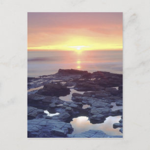 Carte Postale États-Unis, Californie, San Diego. Marée de Sunset
