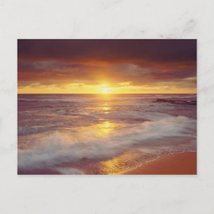 Carte Postale États-Unis, Californie, San Diego. Plage de Sunset