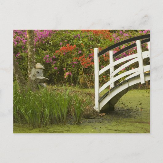 Carte Postale États-Unis; Caroline du Sud; Charleston;2 (Devant)