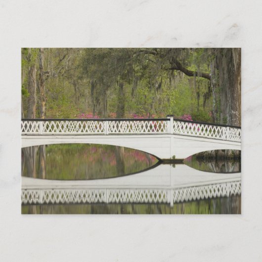 Carte Postale États-Unis; Caroline du Sud; Charleston; 3 (Devant)