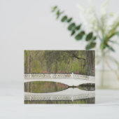 Carte Postale États-Unis; Caroline du Sud; Charleston; 3 (Debout devant)