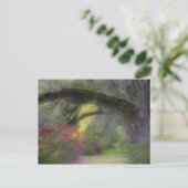 Carte Postale États-Unis, Caroline du Sud, Magnolia Gardens. (Debout devant)