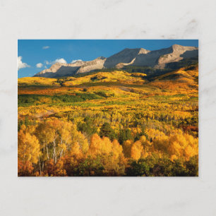 Carte Postale États-Unis, Colorado, forêt nationale de Gunnison