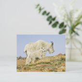 Carte Postale États-Unis, Colorado, Rocheuses, Mont Evans, (Debout devant)