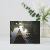 Carte Postale États-Unis, Floride, Forêt nationale d'Ocala, Alex (Debout devant)