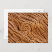 Carte Postale États-Unis, Géorgie, Jekyll Island, Abstract (Devant / Derrière)