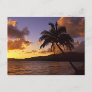 Carte Postale États-Unis, Hawaï, Kauai, Lever de soleil coloré d
