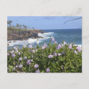 Carte Postale États-Unis, Hawaï, Kauai, près de Kapaa, nord-oues