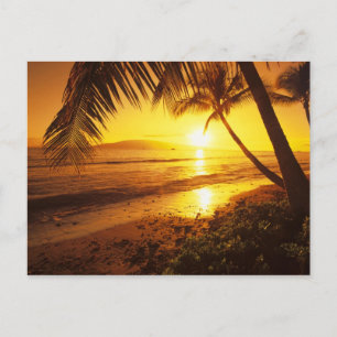 Carte Postale États-Unis, Hawaï, Maui, Coucher de soleil coloré 
