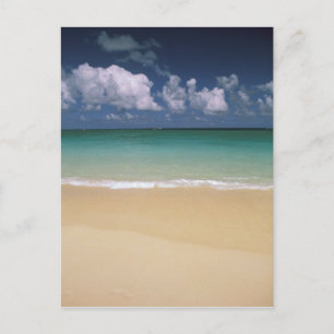 Carte Postale États-Unis, Hawaï. Scène de plage